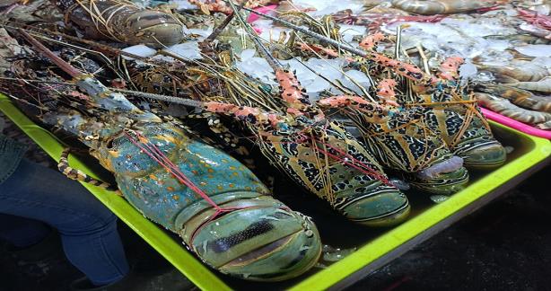 Owoce morza na targu rybnym w Kedonganan